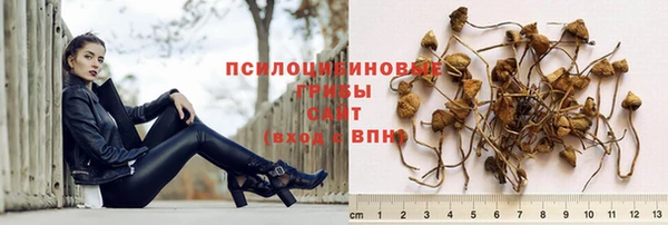 синтетический гашиш Дмитров