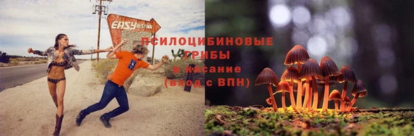 синтетический гашиш Дмитров