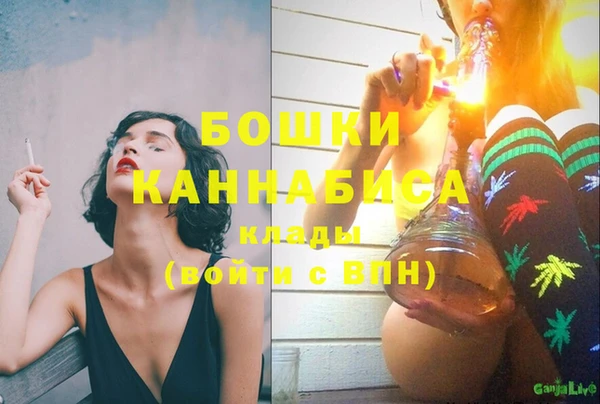 молекула духа Дмитровск