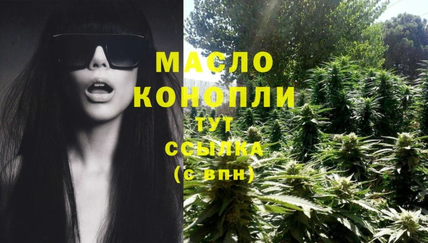 молекула духа Дмитровск