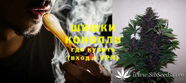 молекула духа Дмитровск