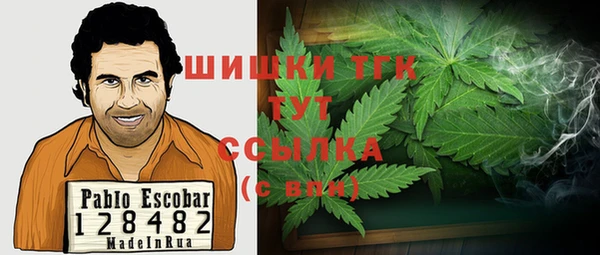 молекула духа Дмитровск