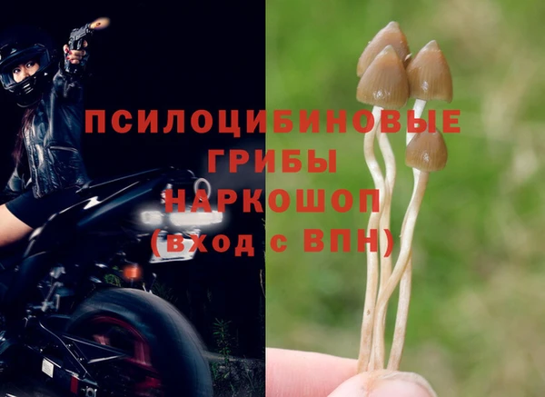 синтетический гашиш Дмитров