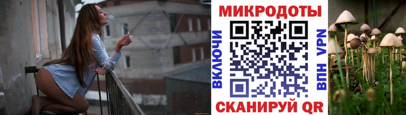 Псилоцибиновые грибы мицелий закладки Каменск-Уральский
