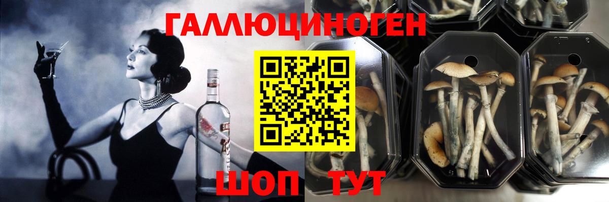 Псилоцибиновые грибы мицелий Каменск-Уральский